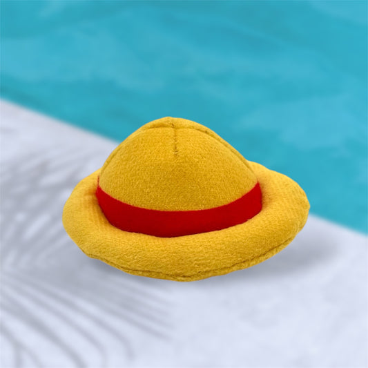 Straw Hat Magnetic Accessory