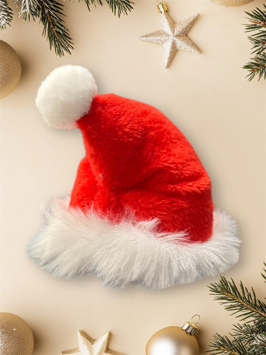 Santa Hat Accessory